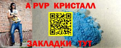 СК Краснознаменск