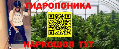 СК Краснознаменск